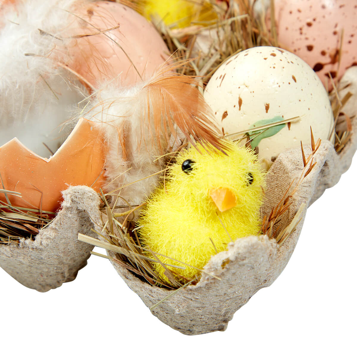 Boîte d’œufs et de poussins - 4