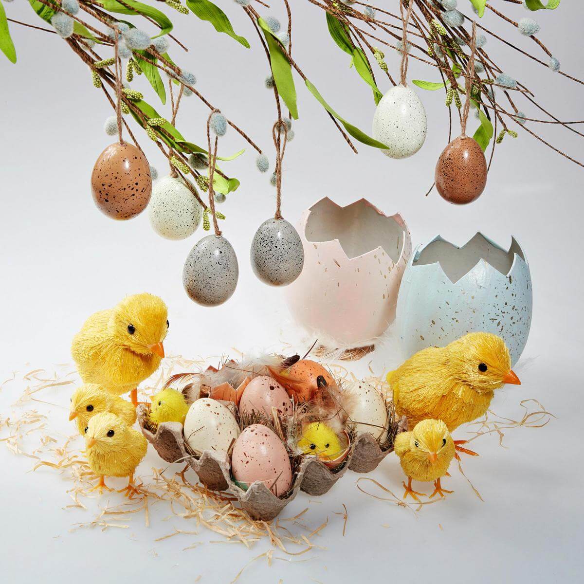 Boîte d’œufs et de poussins - 6