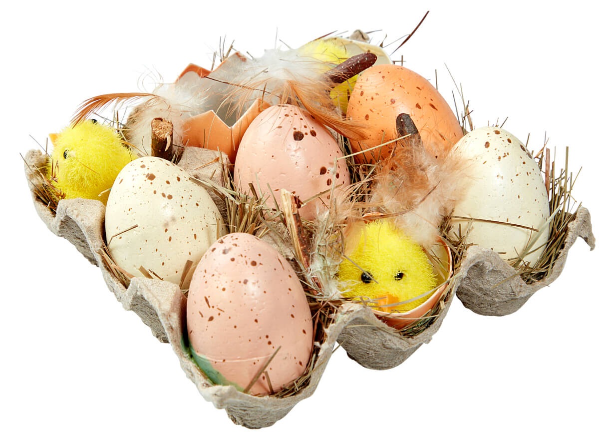Boîte d’œufs et de poussins - 0