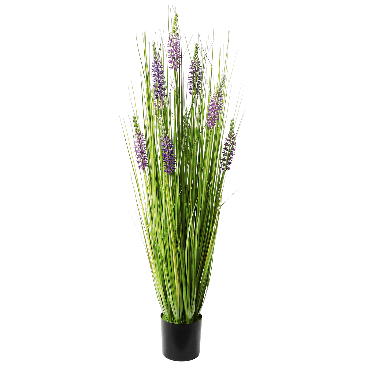 Decorative grass with lavender, height 100 cm - 0