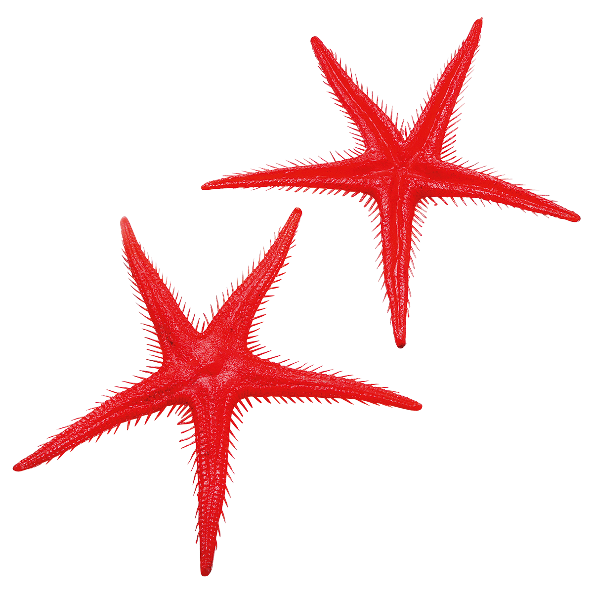 Starfish replica, 2 pcs - 0