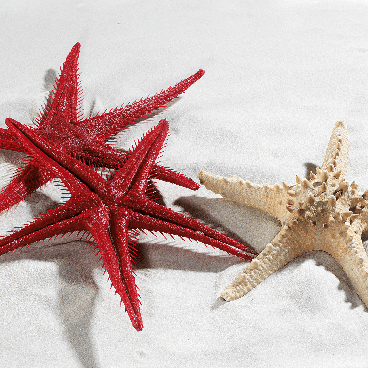 Starfish replica, 2 pcs - 4