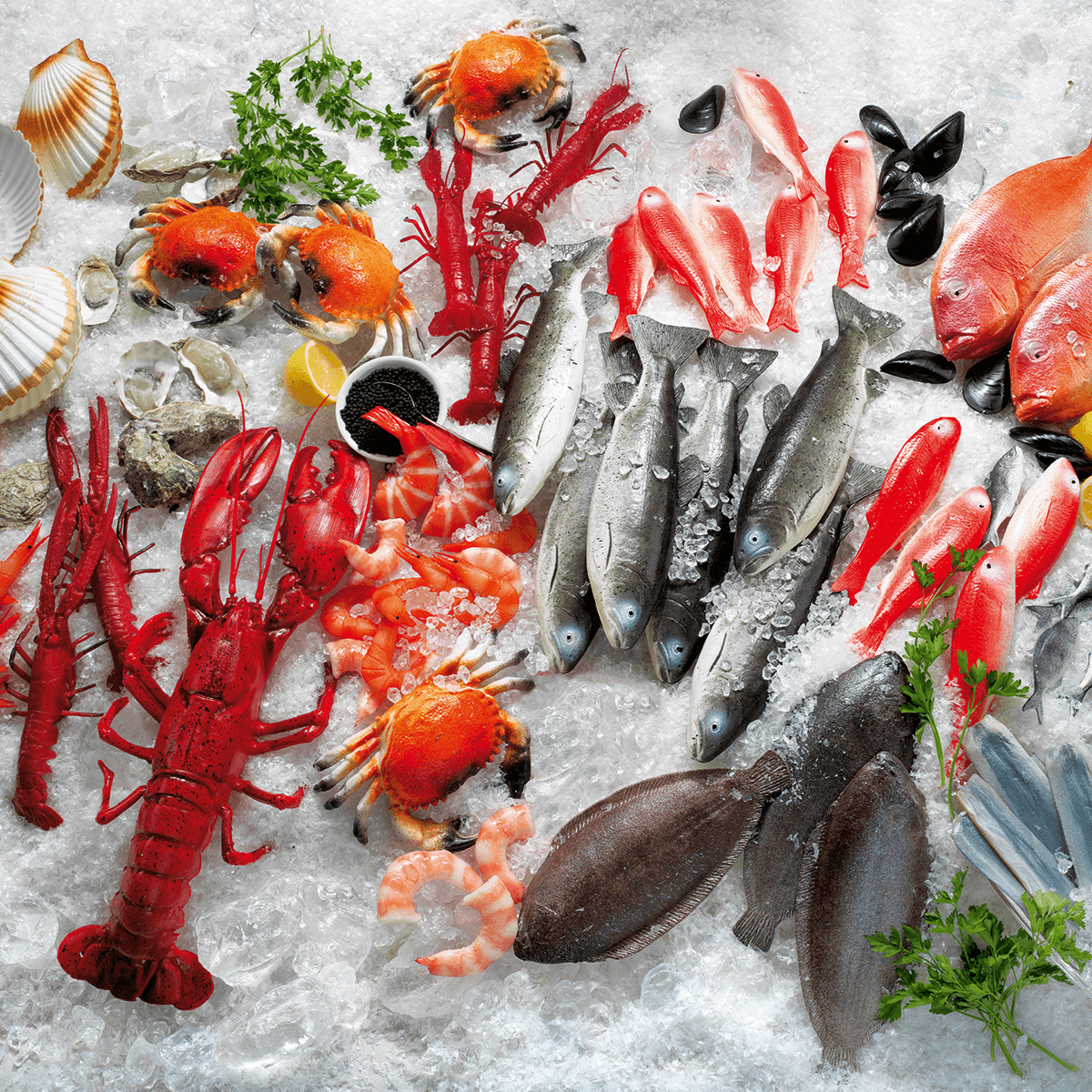 Barbeau de mer factice alimentaire, 21 cm, paquet de 4 pièces - 3