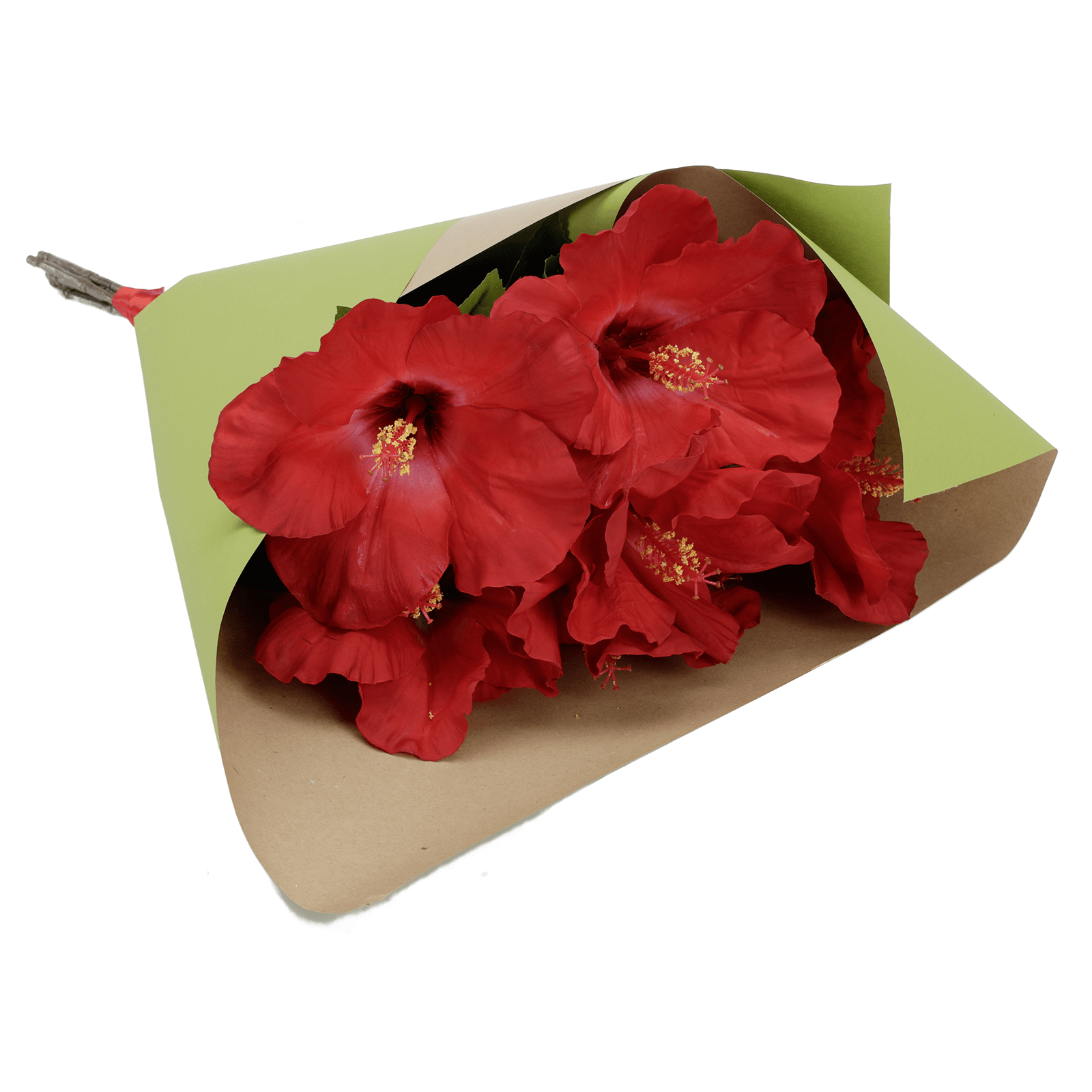 Recycelte Geschenkpapier-Rolle, 50m, Blassgrün - 1