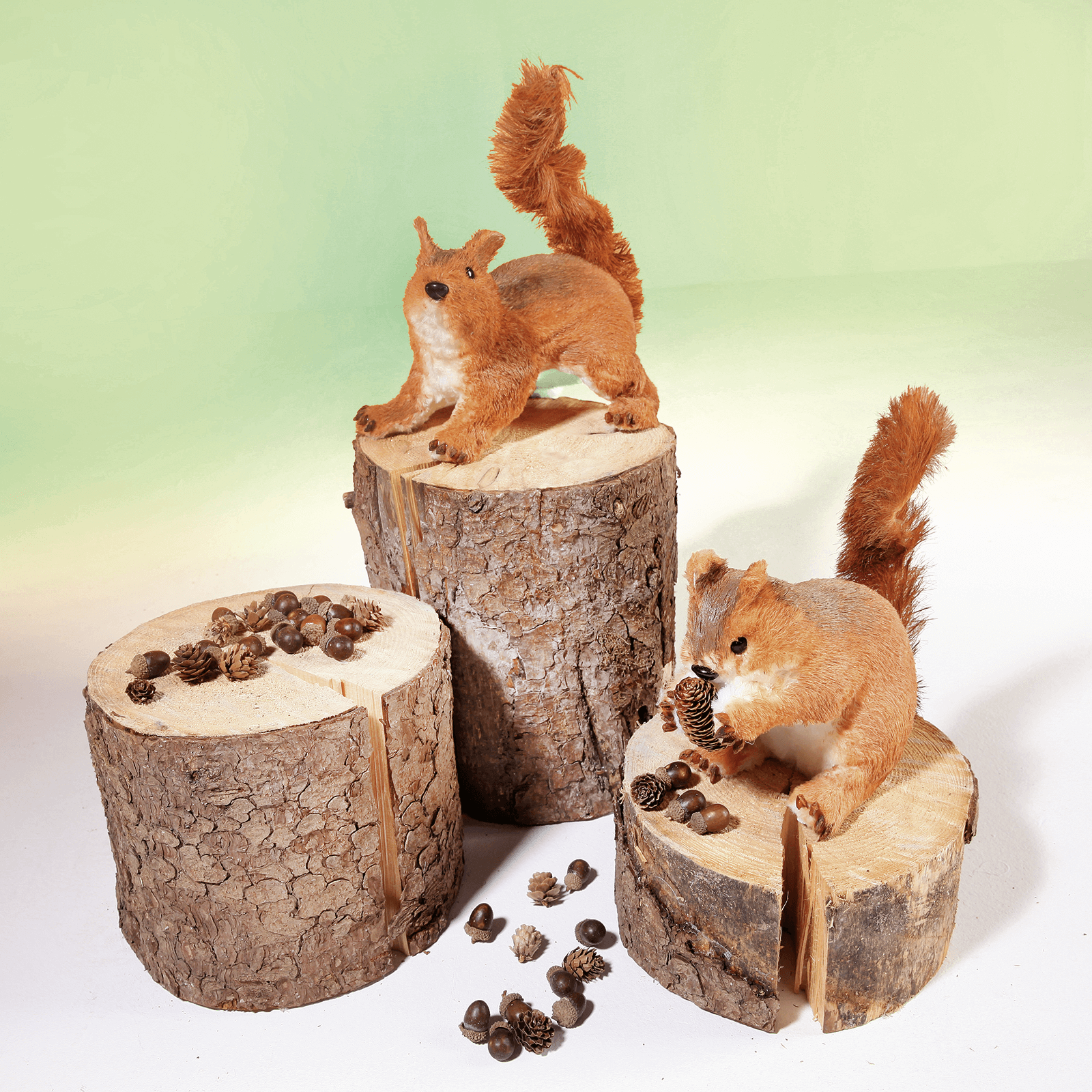 Decorative squirrel height 24 cm - 6
