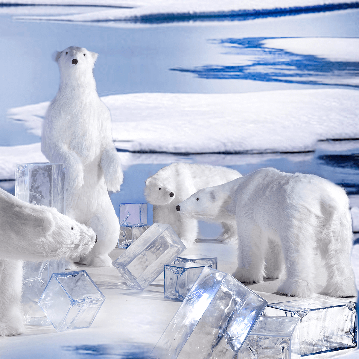 Figure animale grandeur nature d'un ours polaire, haut. 90cm - 9