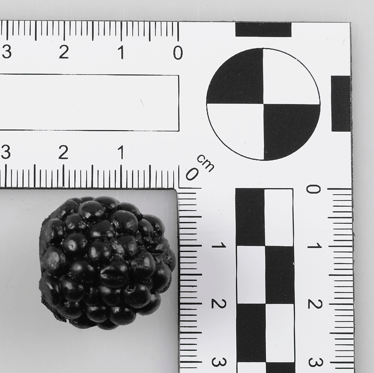 Brombeeren Lebensmittel-Attrappe, 24 Stück - 1
