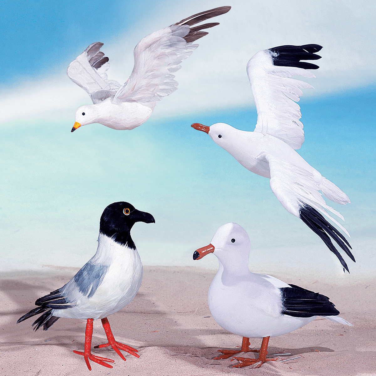 Gaviota decorativa de pie, altura: 28 cm - 9
