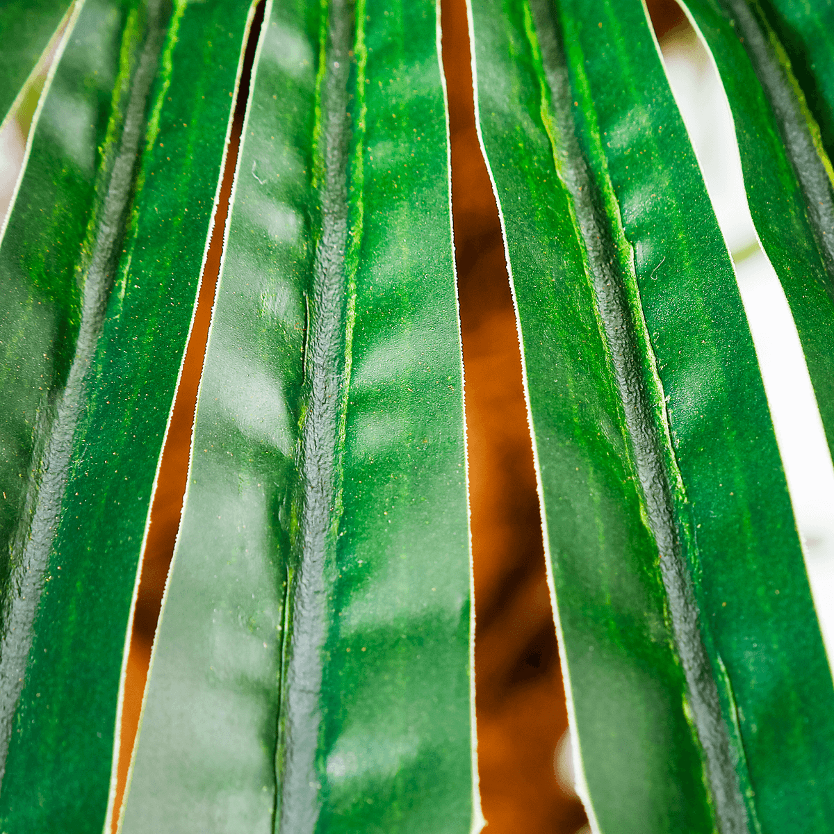 Artificial Phoenix palm tree 180 cm - 3