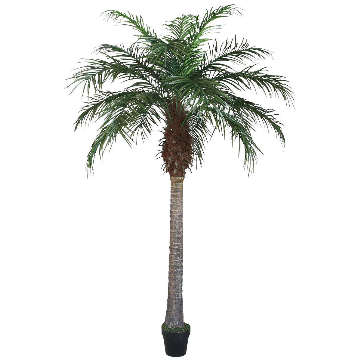 Artificial Phoenix palm tree 180 cm - 5