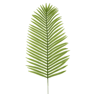 Decorative Areca palm leaf, length 115 cm