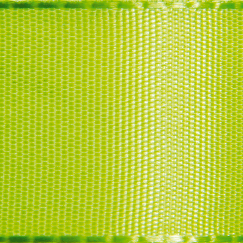 Taffeta ribbon with selvedge 25 mm, 50 m, apple green - 1