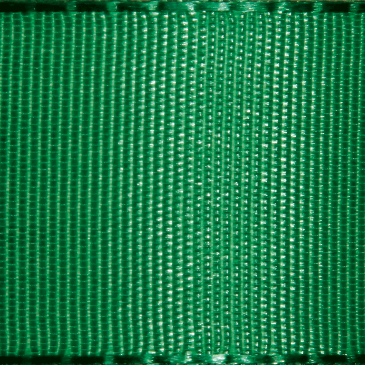 Cinta de tafetán con orillo 25 mm, 50 m, verde oscuro - 1