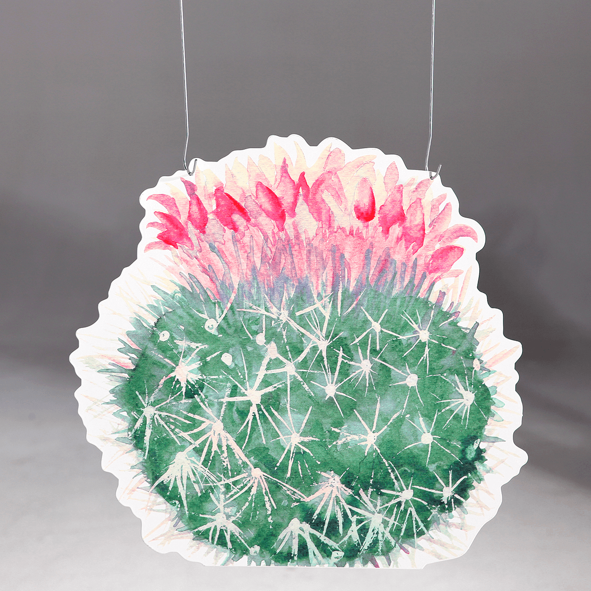 Display hanger "Barrel cactus" pink - 1
