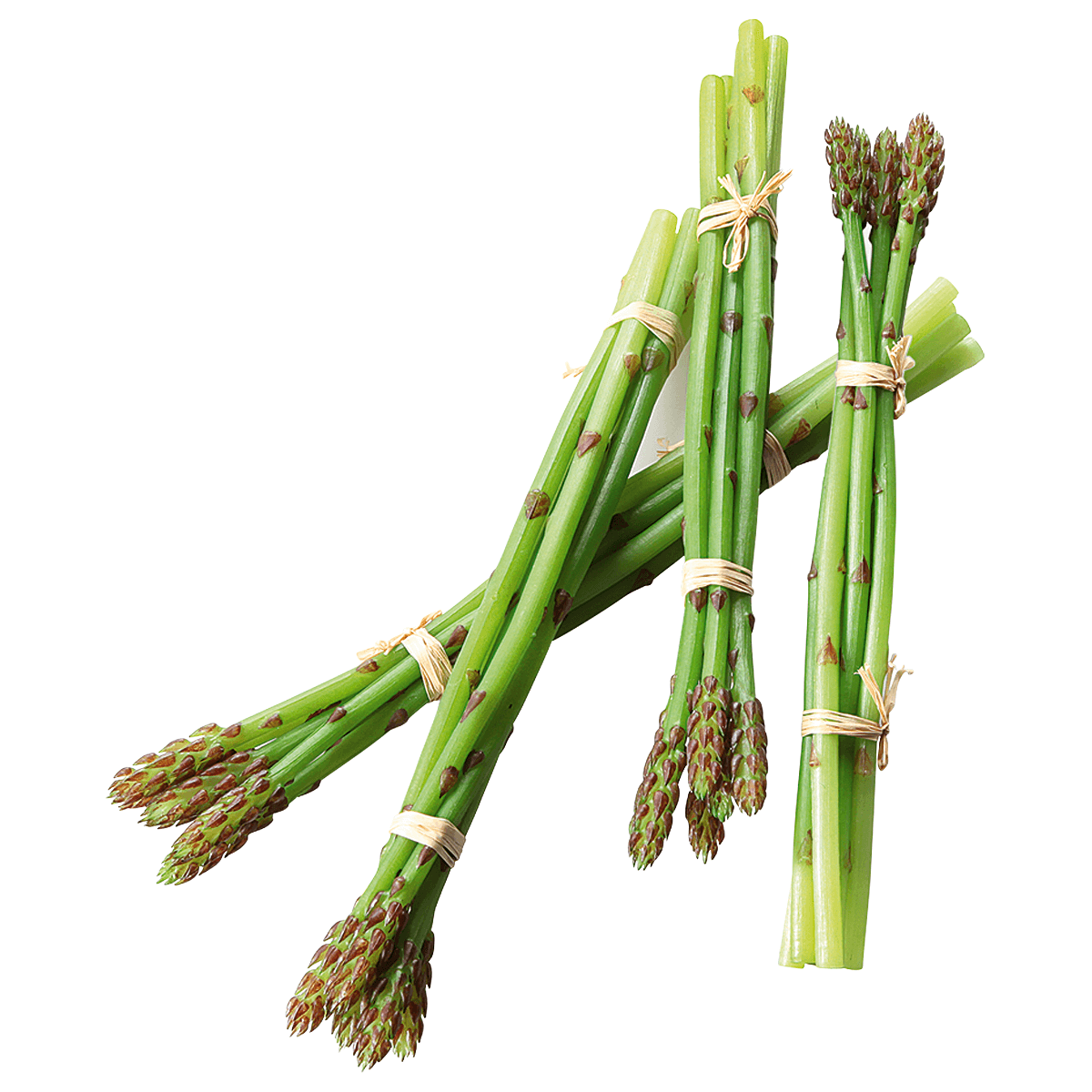 Asperge verte aliment factice, paquet de 4 pièces - 1