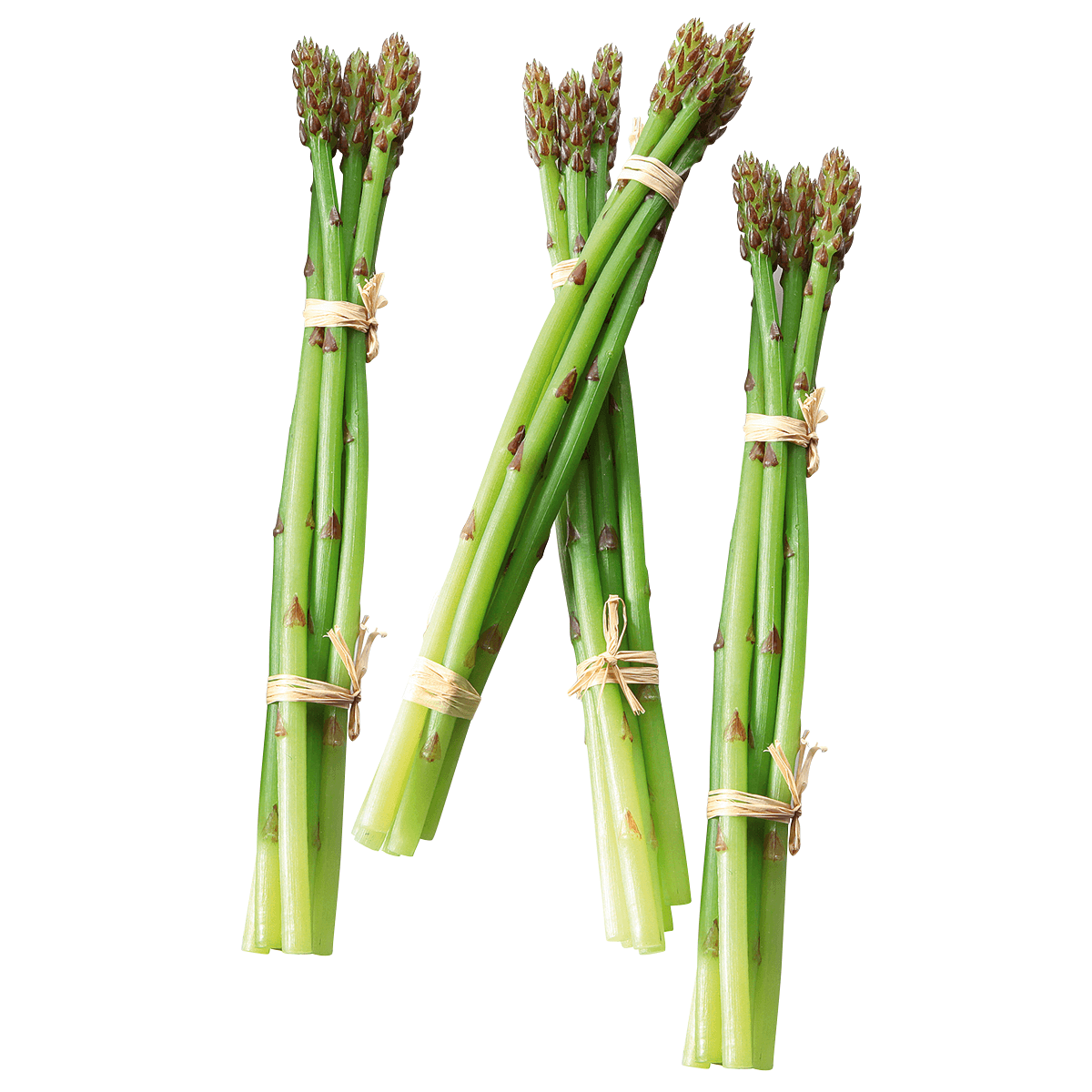 Asperge verte aliment factice, paquet de 4 pièces - 0