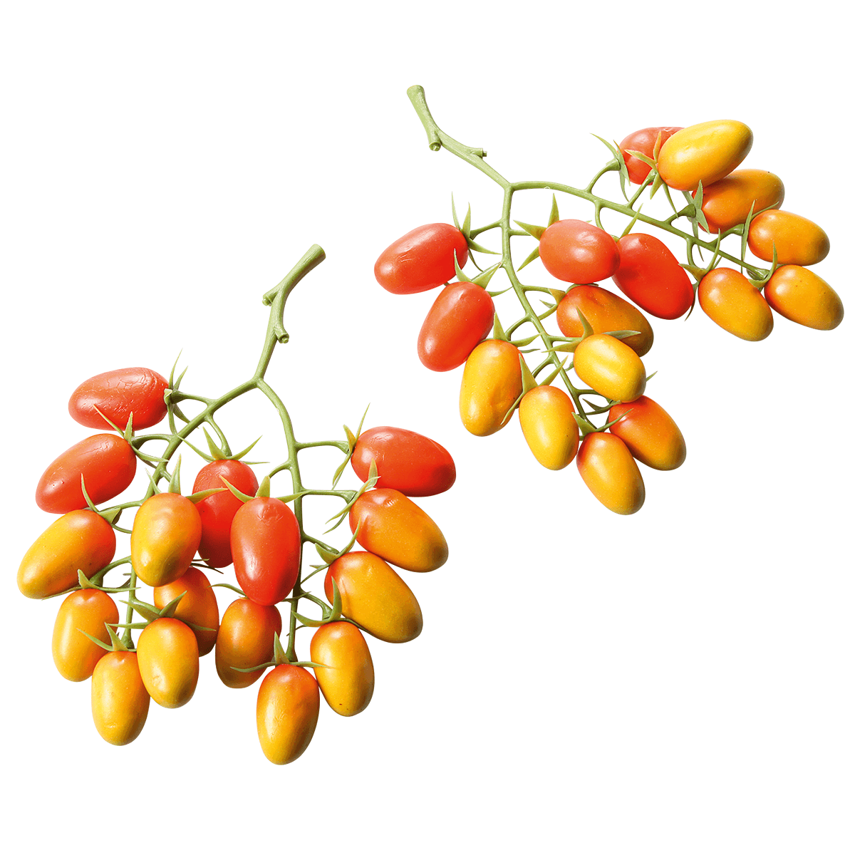 Trusses of Romaine tomatoes food replica, 2 pieces - 0