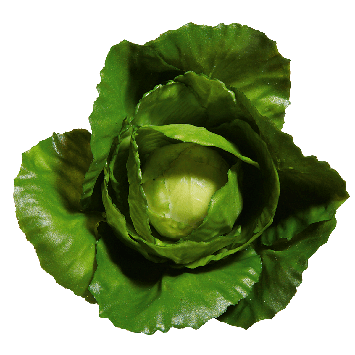 Chou blanc aliment factice, Ø 13 cm - 0