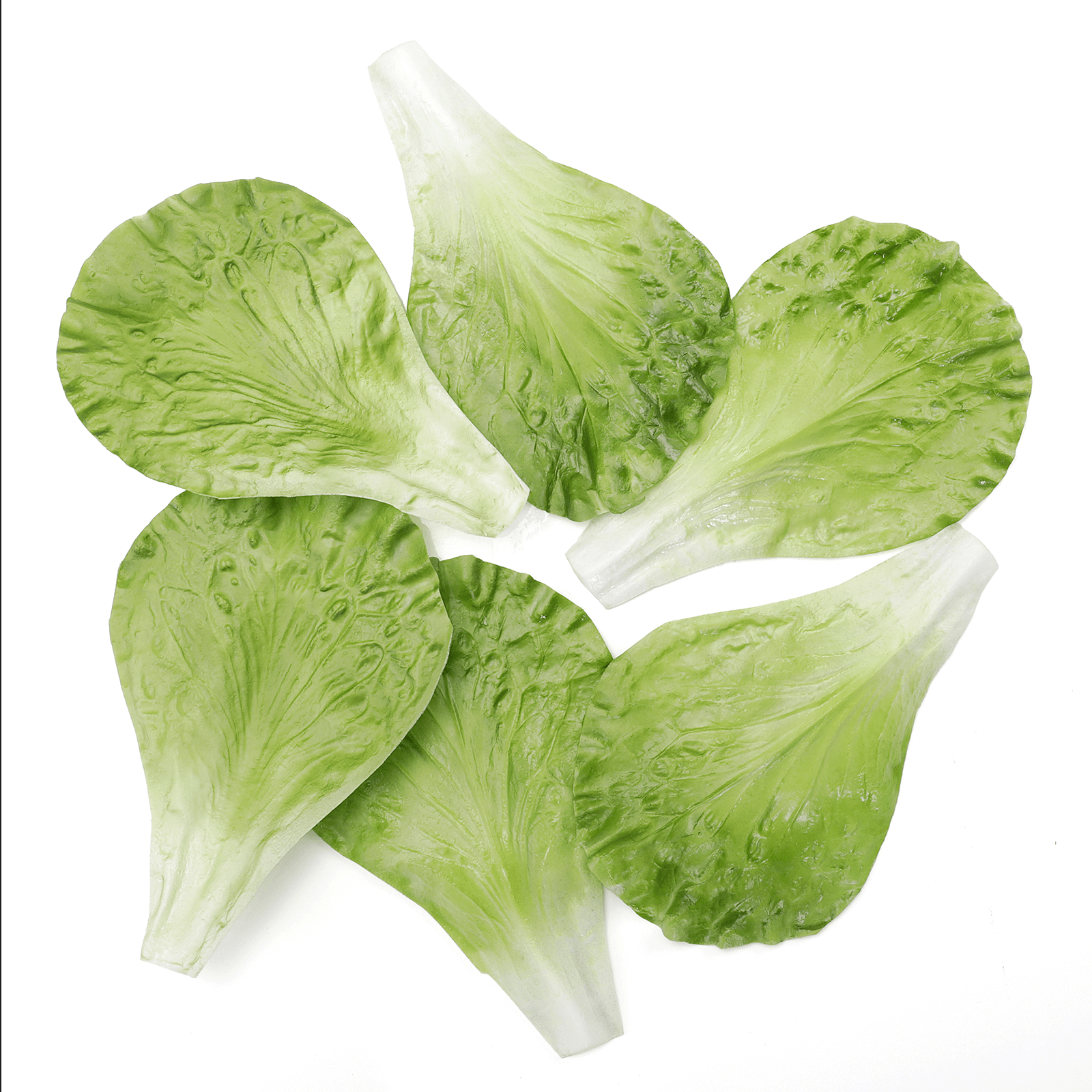Feuilles de laitue romaine verte, aliment factice, 6 pces. - 0
