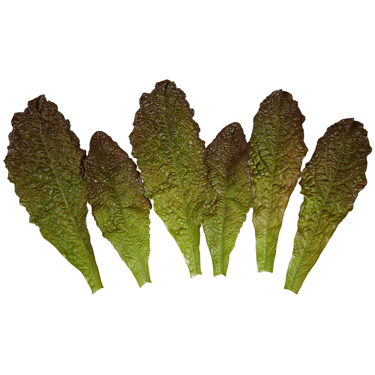 Feuilles de laitue vert - rouge aliment factice, 6 pces - 1