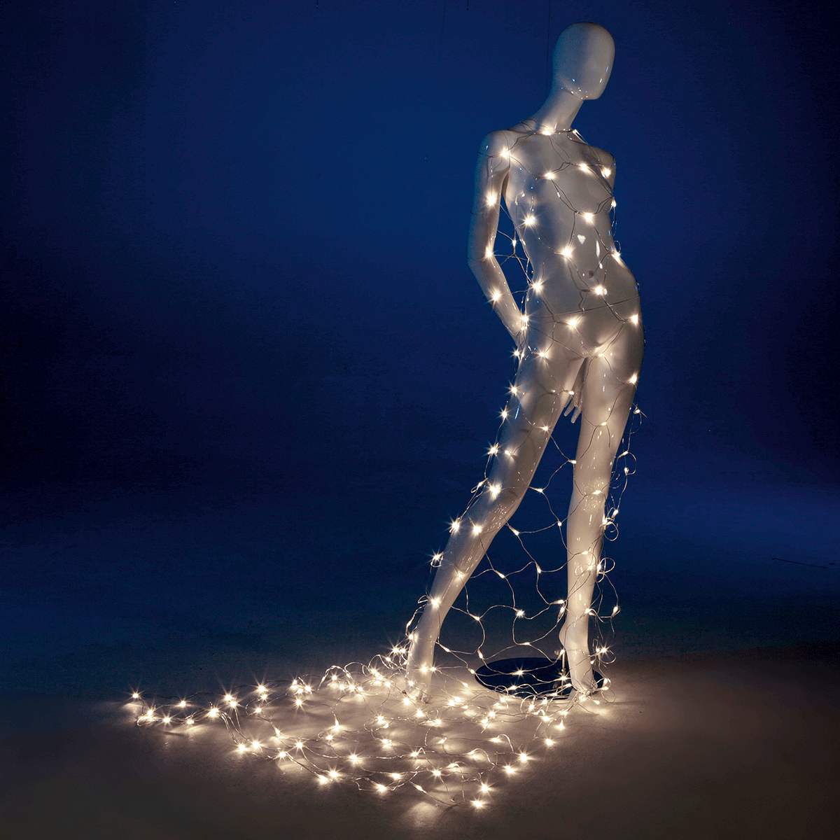 LED Profi filet lumineux système IP20, 250 cm sans câble, transparent - 2