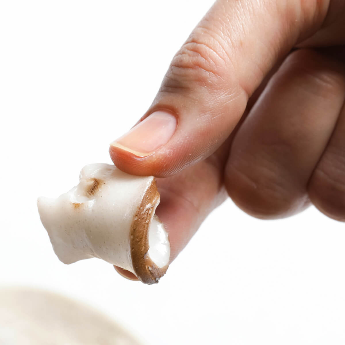 Champignon-Scheiben Lebensmittel-Attrappe, 12 Stück - 2