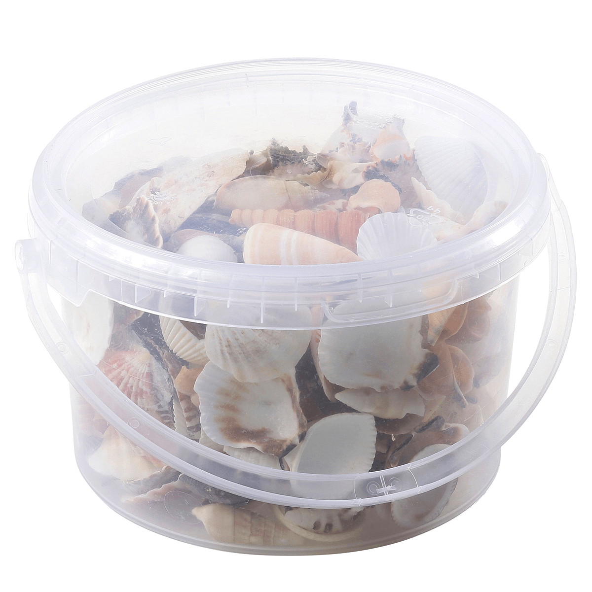 Deko Muscheln und Schnecken, 1400 g - 2