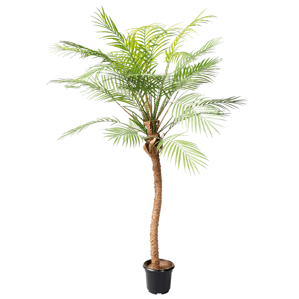 Phoenix Kunstpalme im Topf, 135 cm - 0