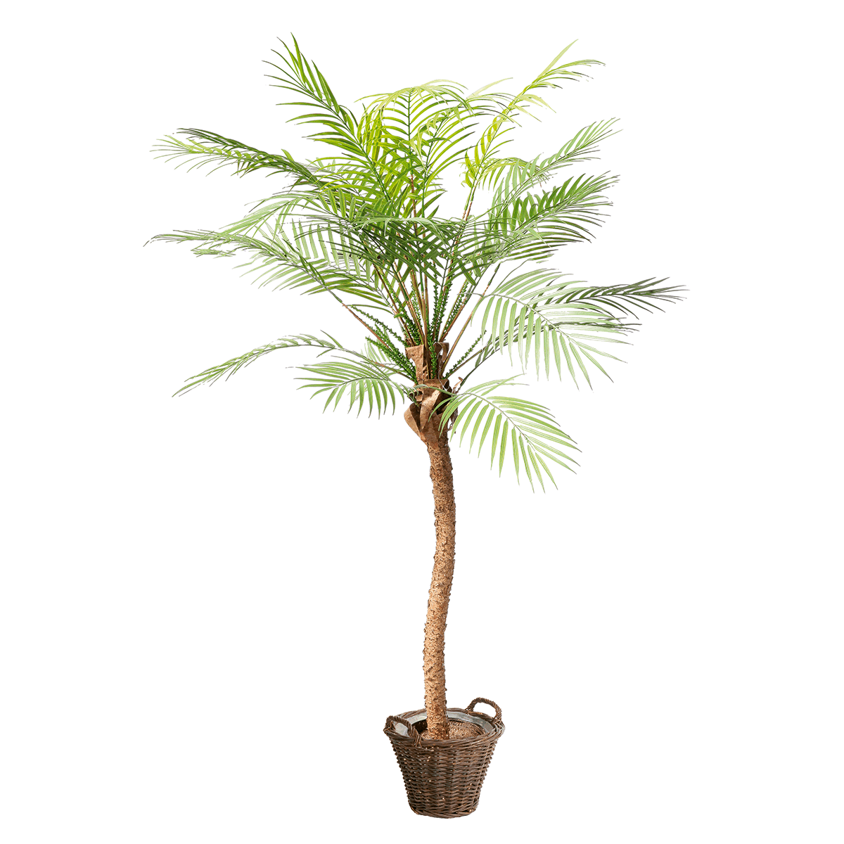 Phoenix Kunstpalme im Topf, 135 cm - 3