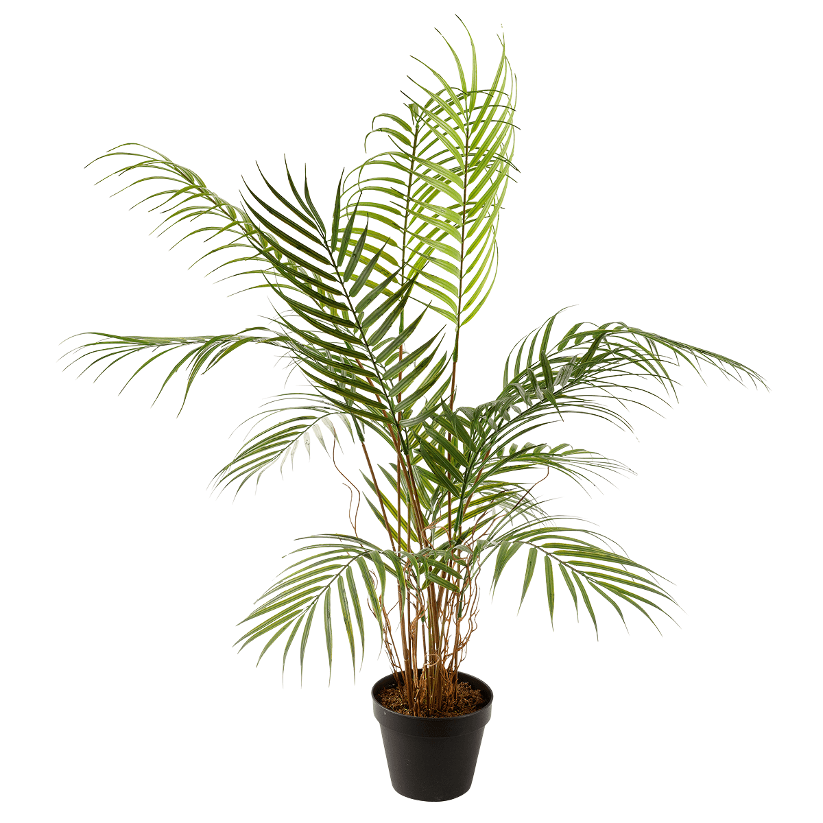 Kunstpalme Areca im Topf, 80 cm - 1