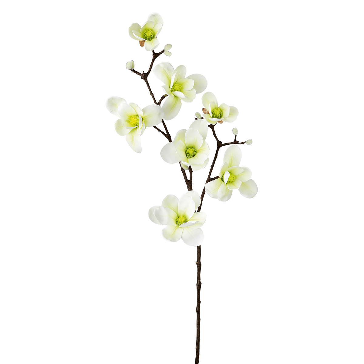 Artificial noble magnolia branch, white green, 100 cm - 0