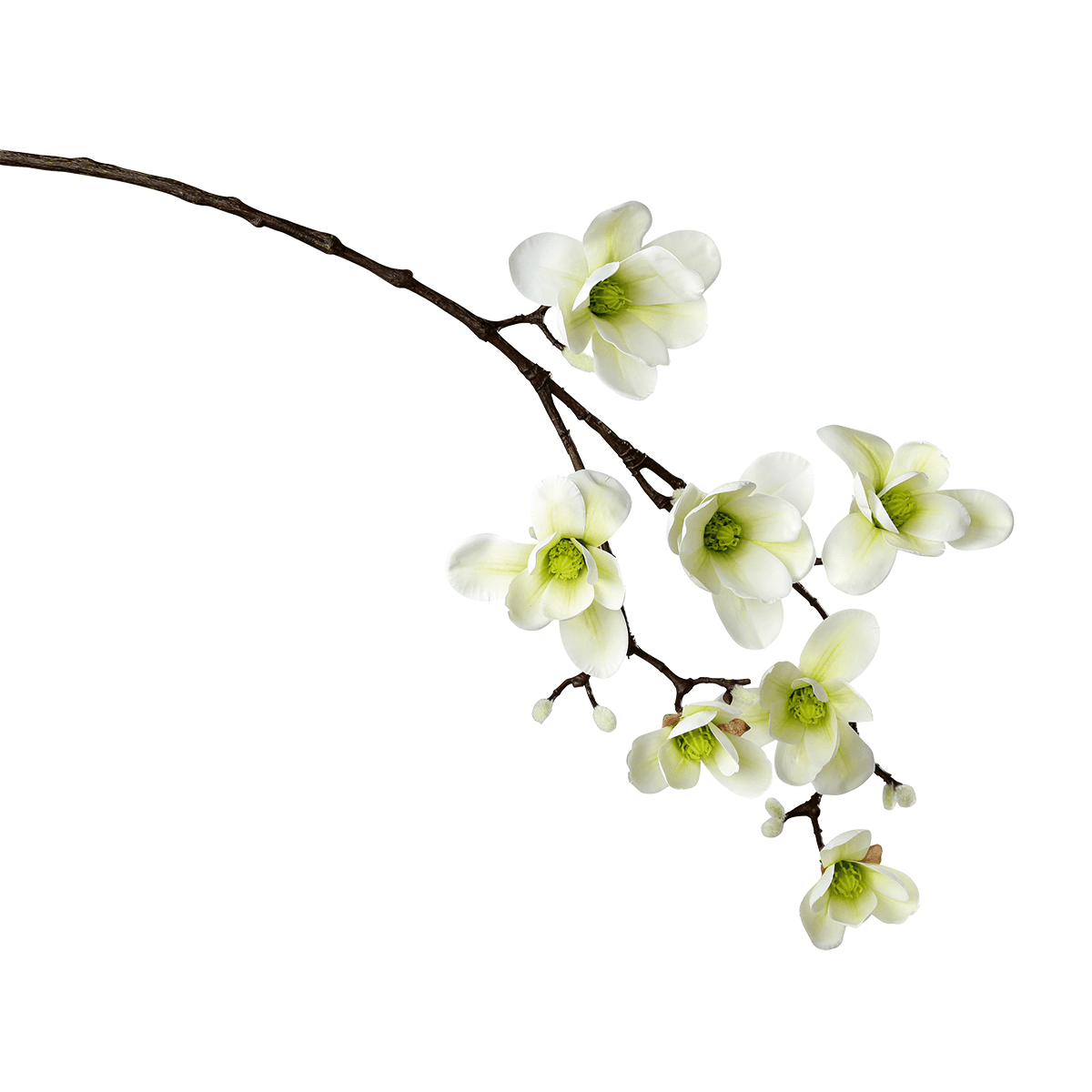 Artificial noble magnolia branch, white green, 100 cm - 1