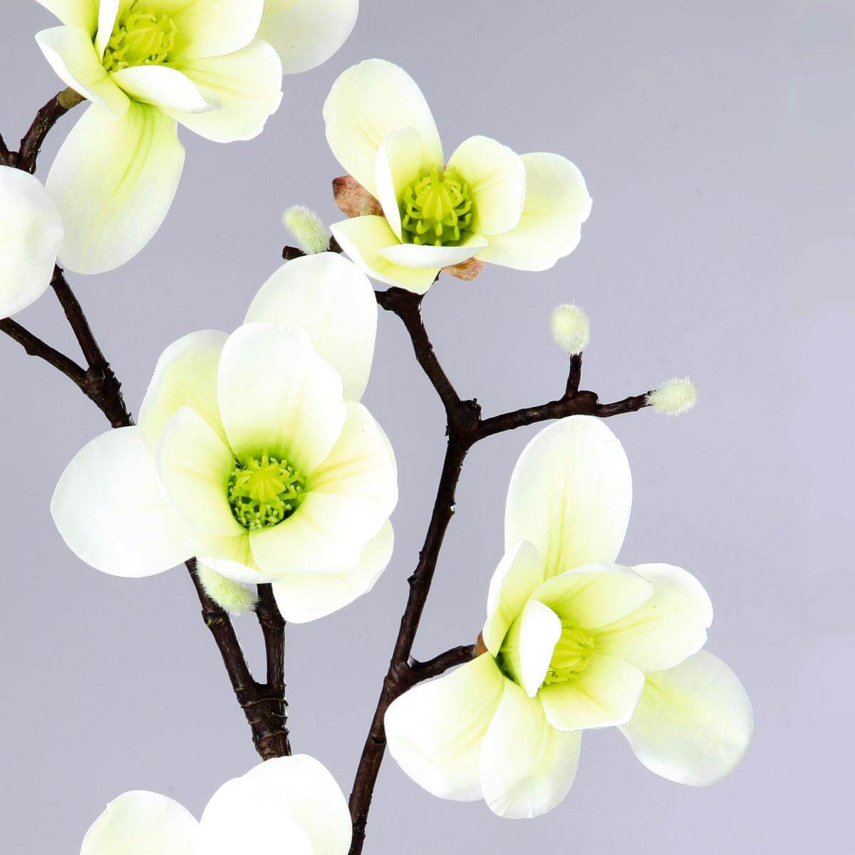 Artificial noble magnolia branch, white green, 100 cm - 2