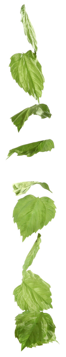 Guirnalda artificial de hojas de abedul 160 cm - 3