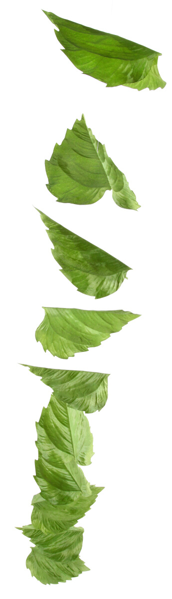 Guirnalda artificial de hojas de abedul 160 cm - 6