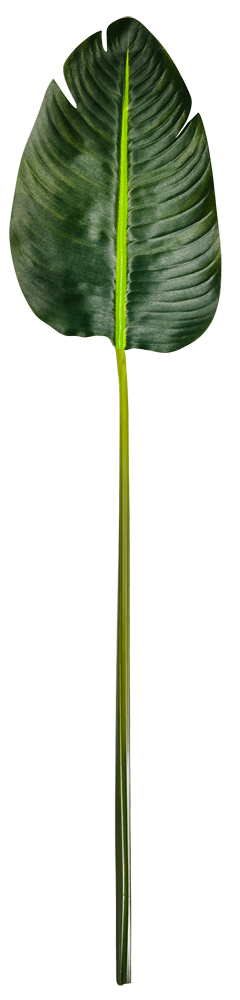 Bananen-Kunstblatt, 75 cm - 0