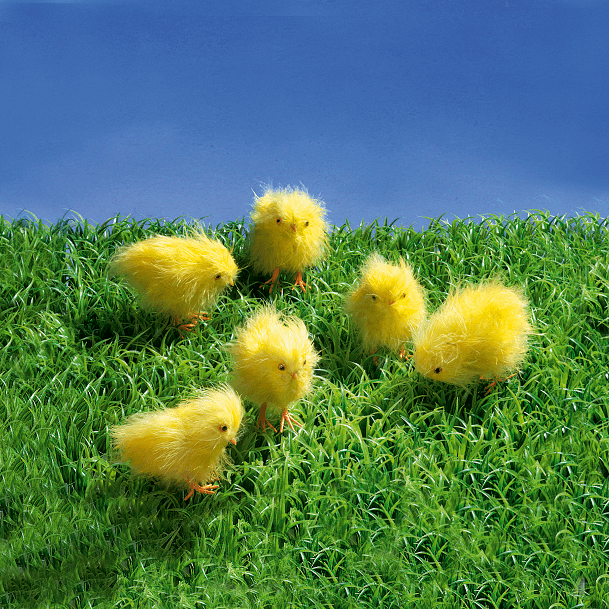 Decorative chicks 9 cm, 6 pcs - 3