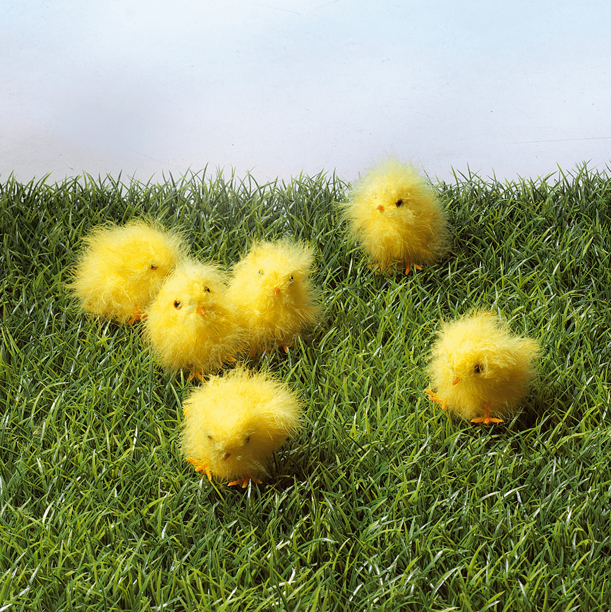 Decorative chicks 9 cm, 6 pcs - 5
