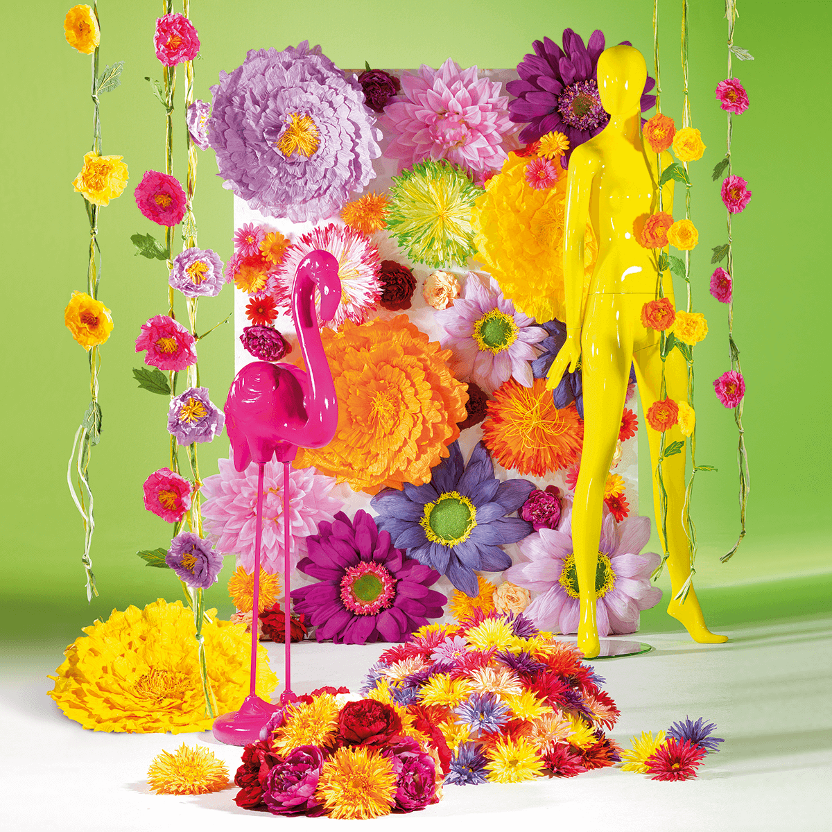 Riesen-Gerbera-Blüte, 45 cm Ø, rosa - 4