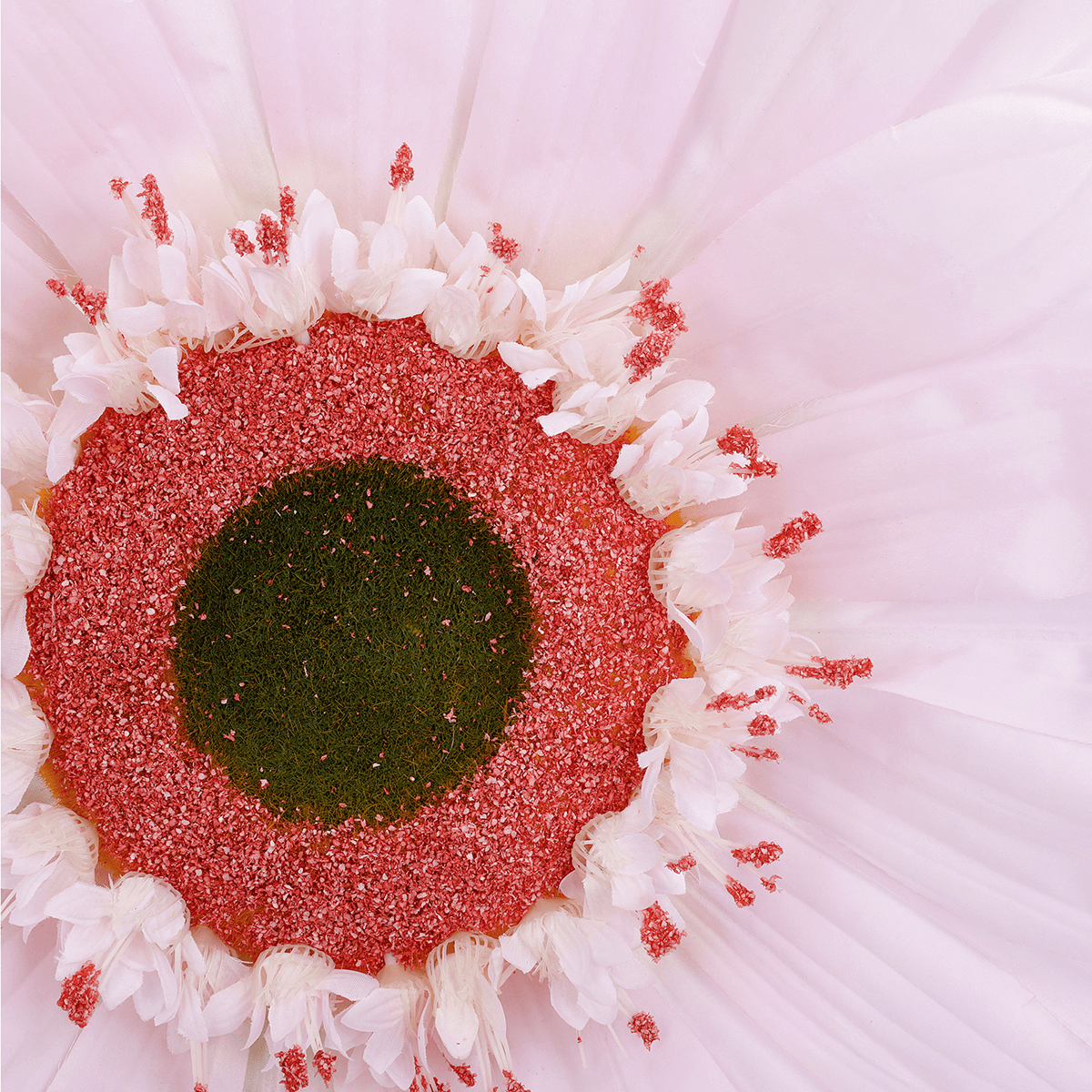 Riesen-Gerbera-Blüte, 45 cm Ø, rosa - 1