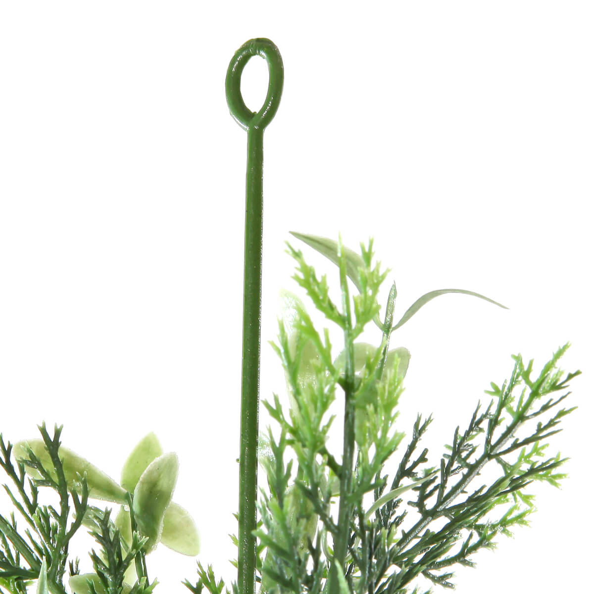 Guirlande de buis et cyprès, long. 170 cm - 4