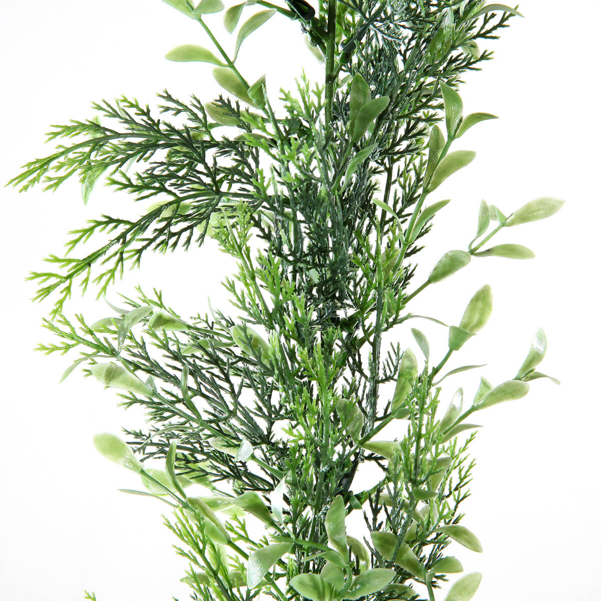 Guirlande de buis et cyprès, long. 170 cm - 5