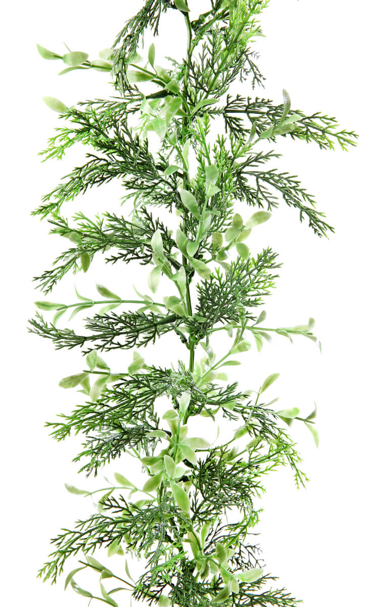 Guirlande de buis et cyprès, long. 170 cm - 6
