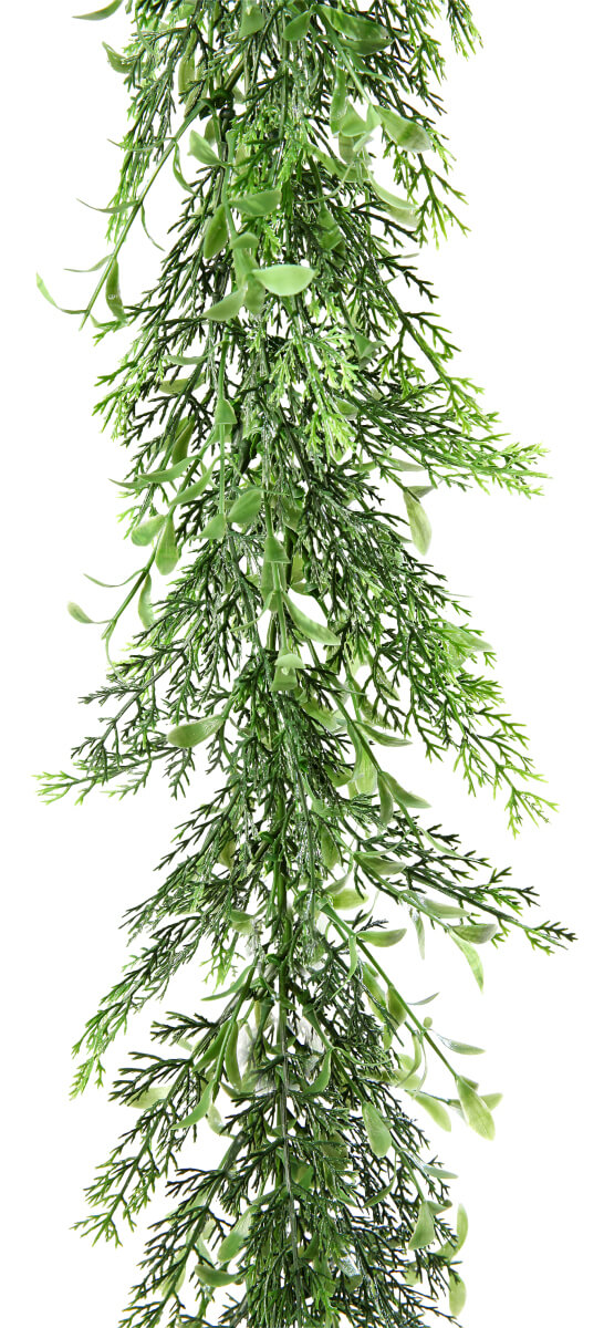 Guirlande de buis et cyprès, long. 170 cm - 7