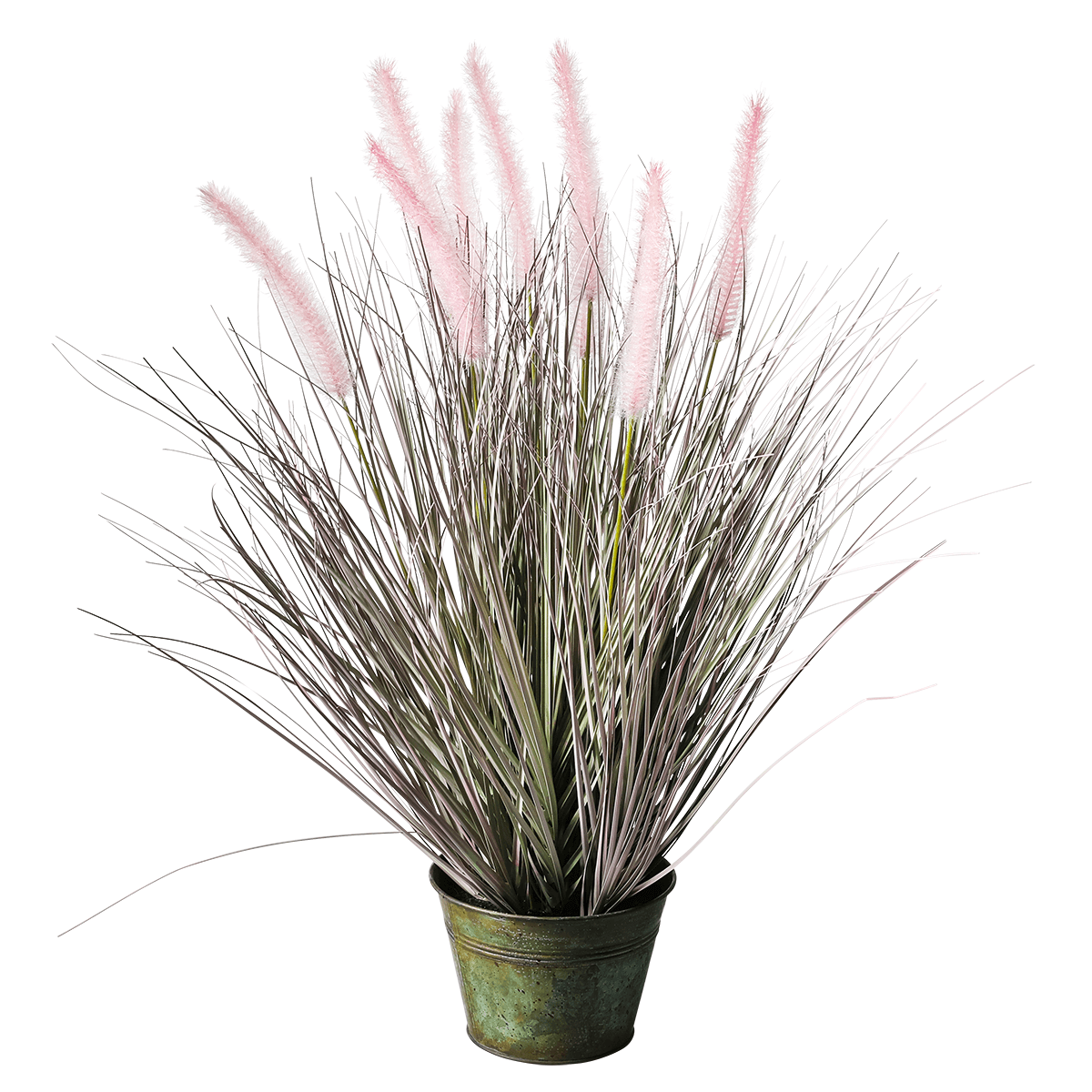 Fina hierba decorativa de cerdas de pluma en rosa plateado en una noble maceta de zinc 57 cm - 0