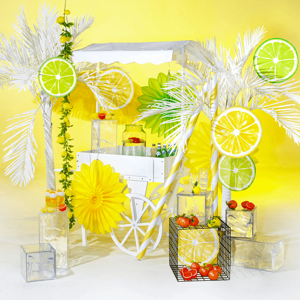 Display Set Limette & Zitrone 35/40 cm - 8
