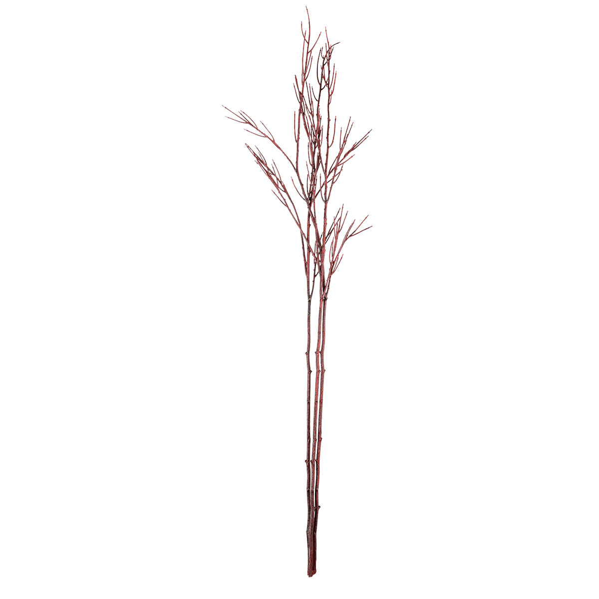 Rama de decoración Cornus rojo 130 cm - 2