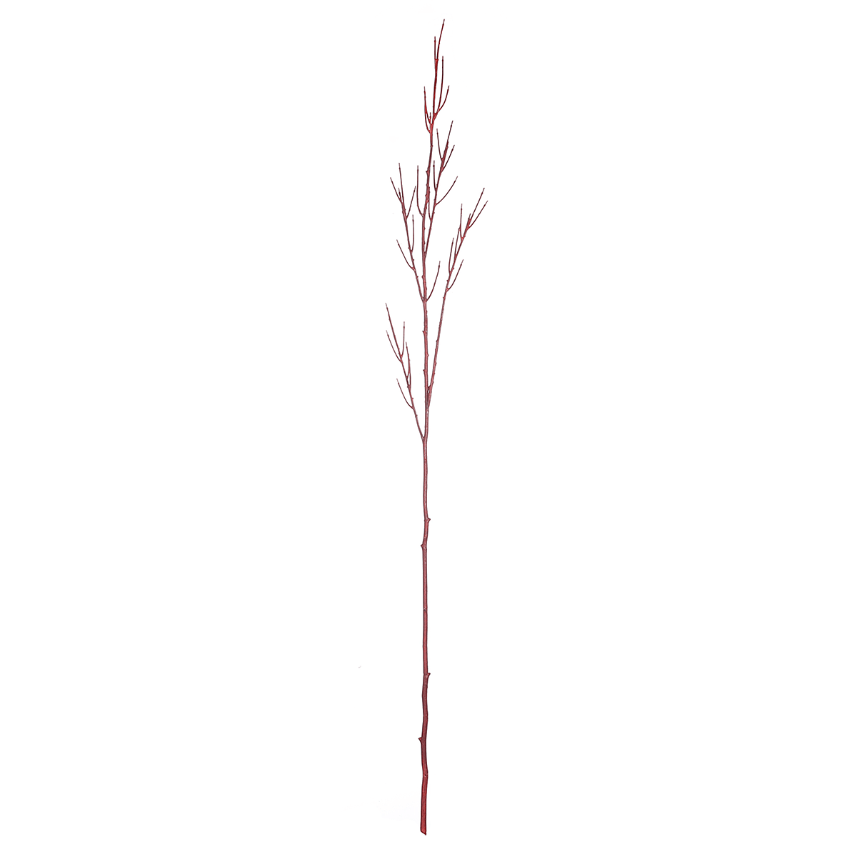 Rama de decoración Cornus rojo 130 cm - 0