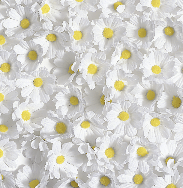 Decorative blossoms Marguerites, 72 pcs - 6