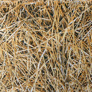 Tejido decorativo "Paja", anchura: 150 cm